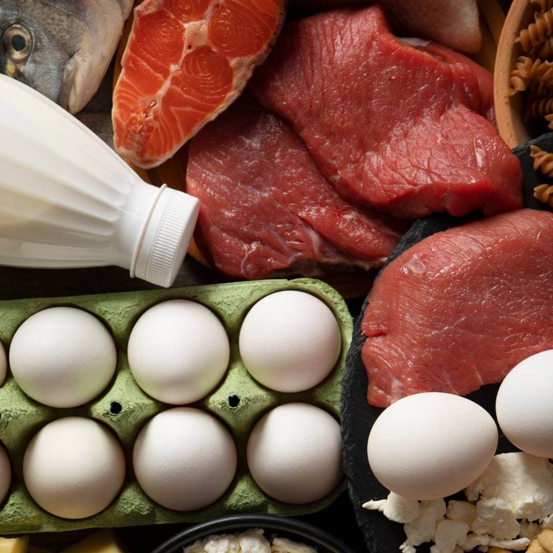 Nutricionista Júlia Menezes | Nutrição Comportamental e Integrativa | Blog Julia Menezes Proteina Animal Blog Júlia Menezes - Proteinas Origem Animal