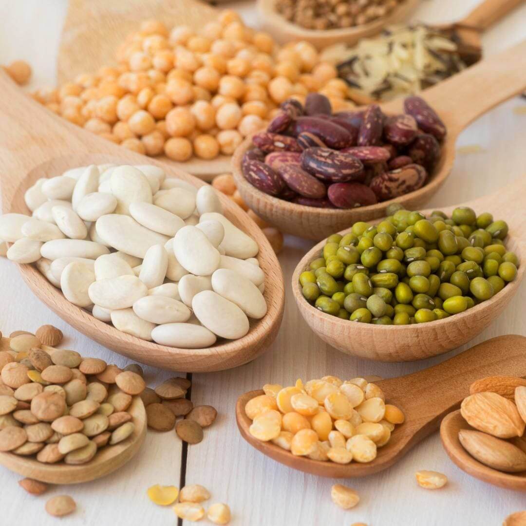 Nutricionista Júlia Menezes | Nutrição Comportamental e Integrativa | Blog Julia Menezes Proteina Vegetal Nutricionista Júlia Menezes | Nutrição Comportamental e Integrativa | Blog Julia Menezes Proteina Vegetal